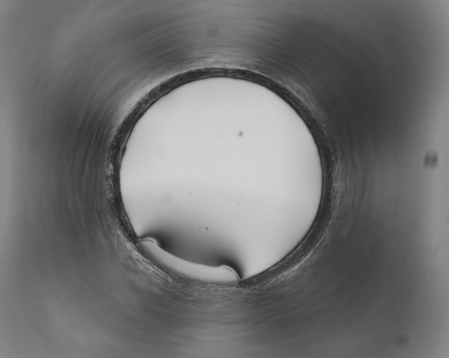X0000110700926200907101217