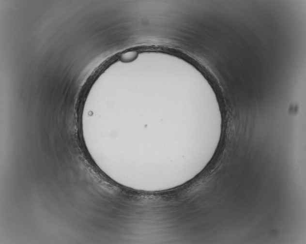 X0000110700927200907101217