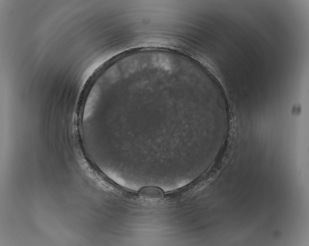 X0000110700928200907101217