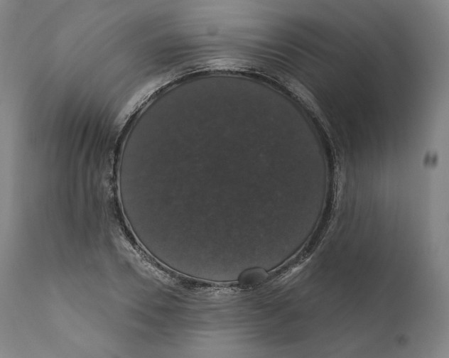 X0000110700930200907101217