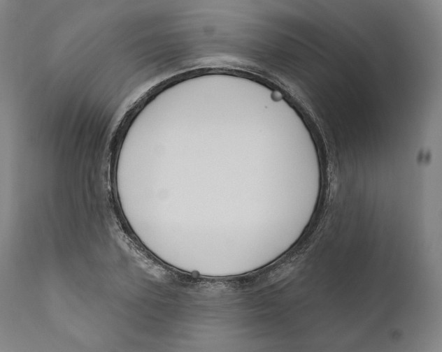 X0000110700931200907101217