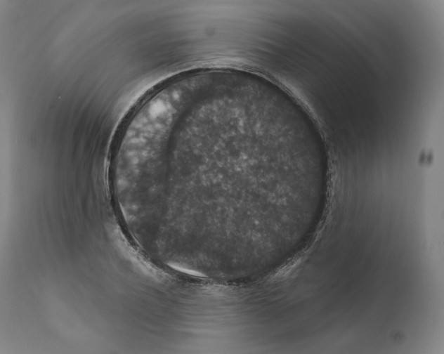 X0000110700932200907101217