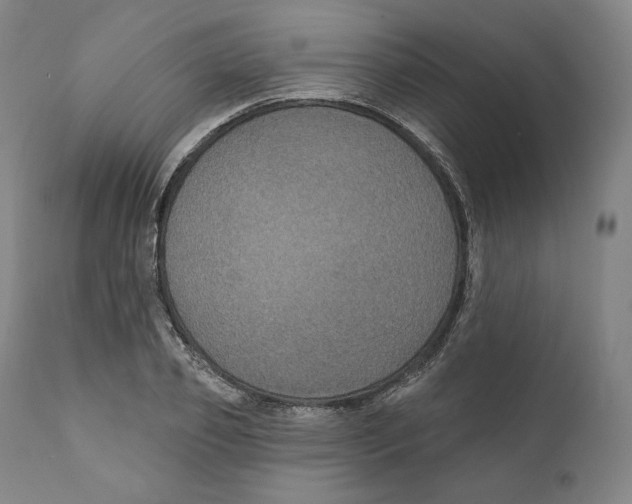 X0000110700933200907101217