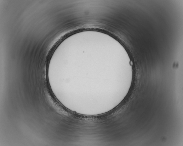 X0000110700934200907101217