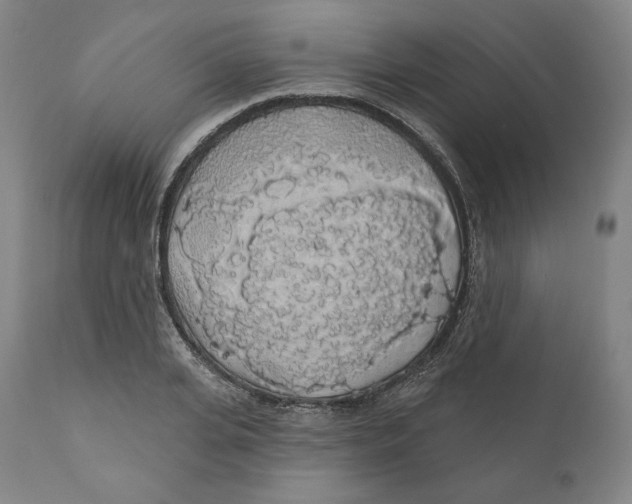 X0000110700935200907101217