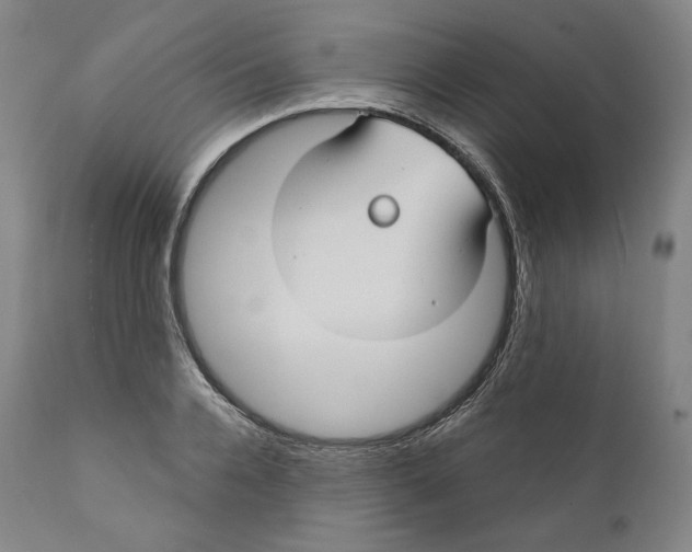 X0000110700936200907101217