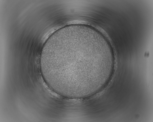 X0000110700937200907101217