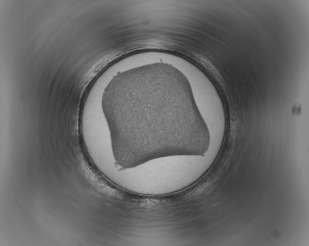 X0000110700938200907101217