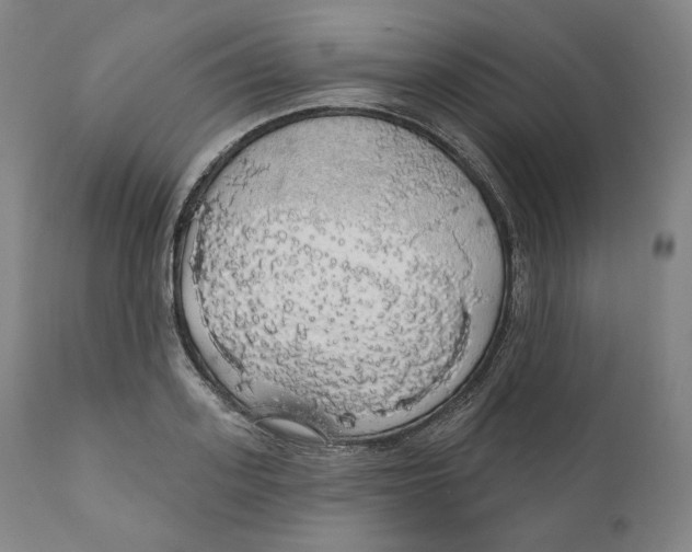 X0000110700939200907101217