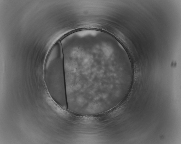 X0000110700940200907101217