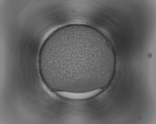 X0000110700942200907101218