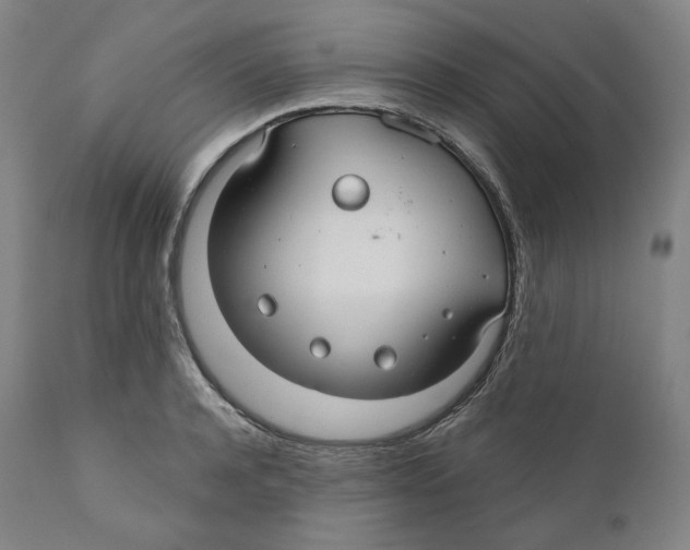 X0000110700944200907101218