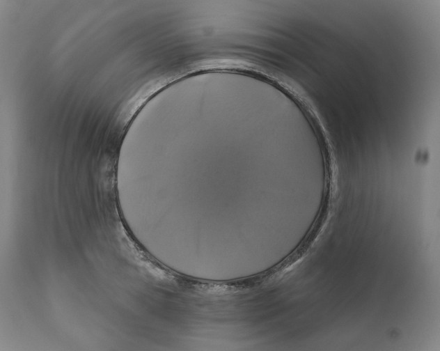 X0000110700945200907101218