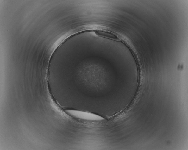 X0000110700946200907101218