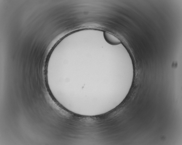 X0000110700947200907101218