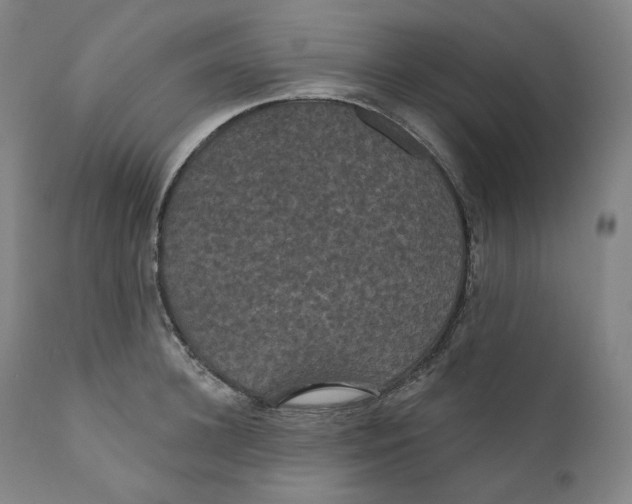 X0000110700948200907101218