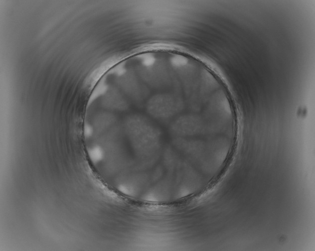 X0000110700953200907101218