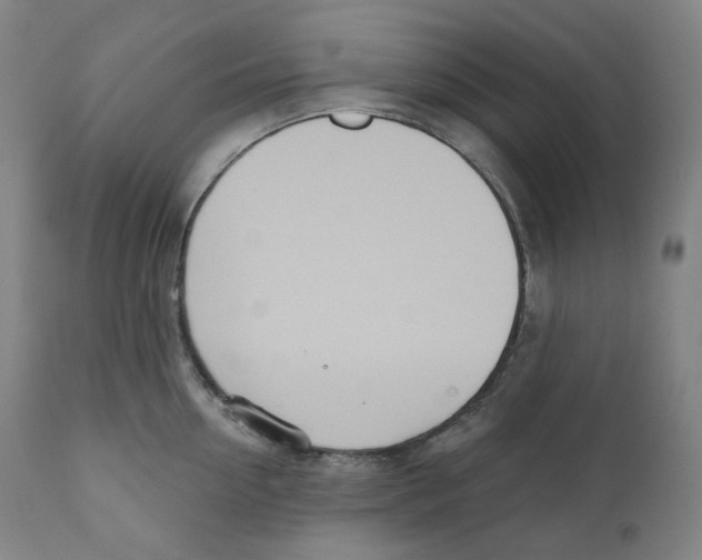 X0000110700954200907101218