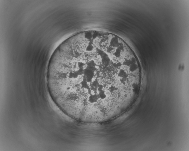 X0000110700957200907101218