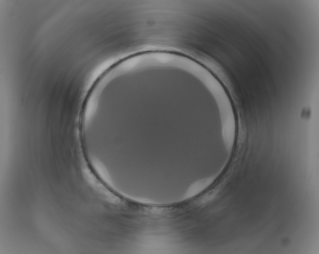 X0000110700958200907101218