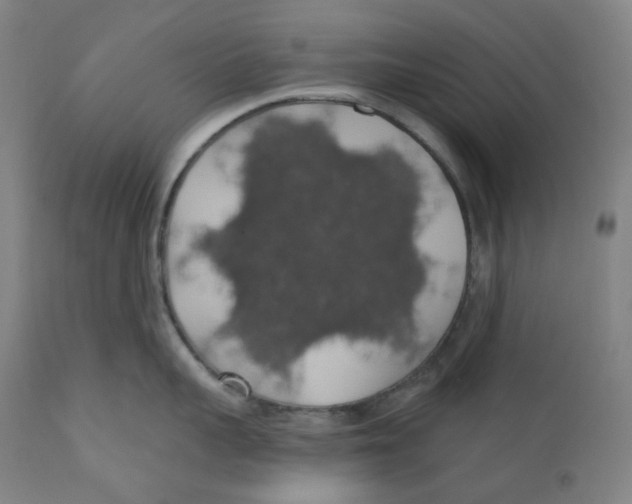 X0000110700959200907101218