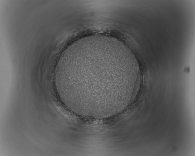 X0000110700961200907101217