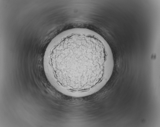 X0000110700964200907101217