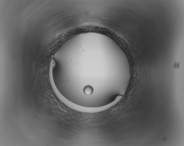 X0000110700965200907101217