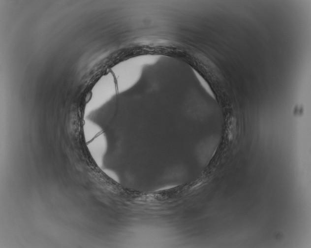 X0000110700966200907101217