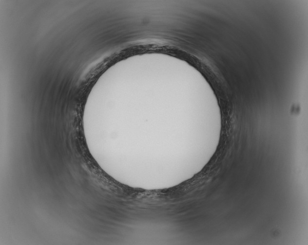 X0000110700967200907101217