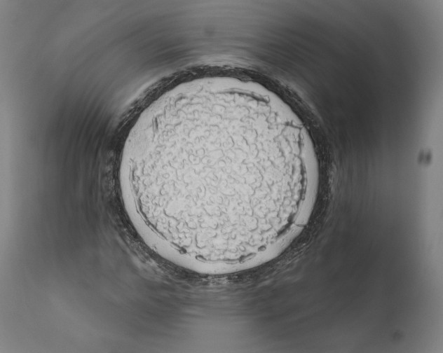 X0000110700968200907101217