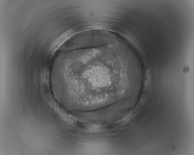X0000110700969200907101217