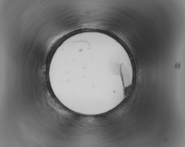 X0000110700971200907101217