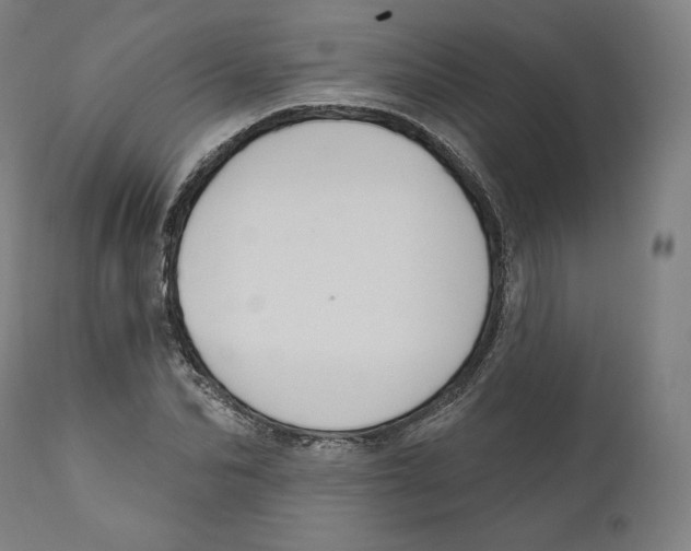 X0000110700974200907101217