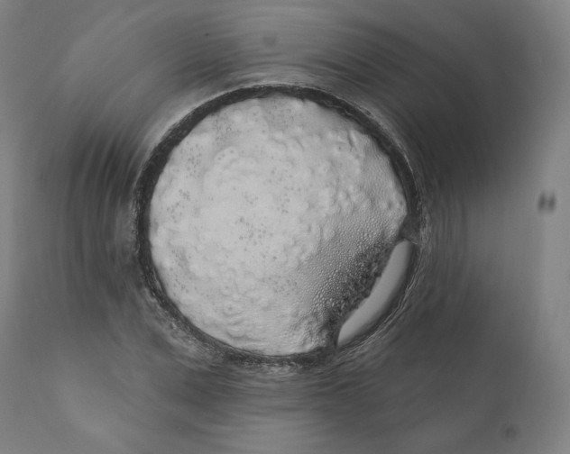 X0000110700975200907101217