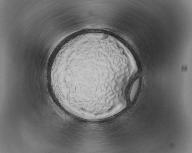 X0000110700976200907101217