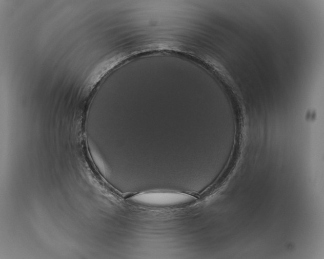 X0000110700977200907101217