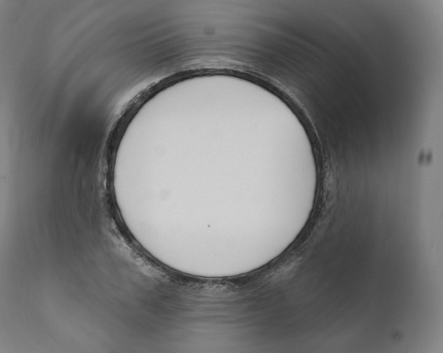 X0000110700979200907101217