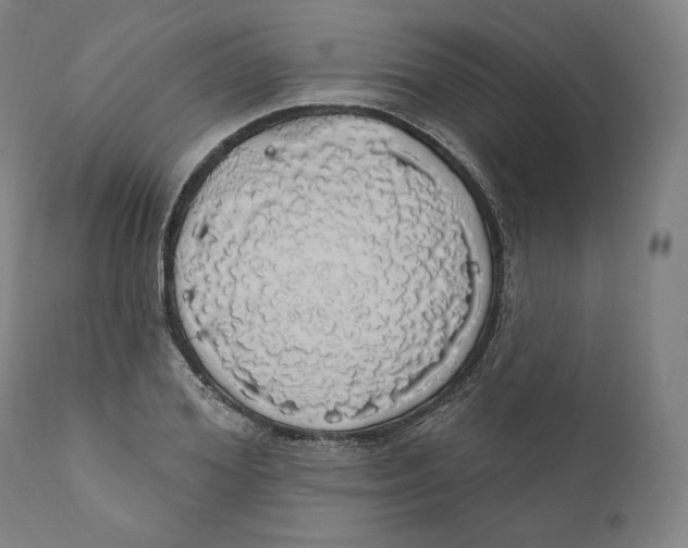 X0000110700980200907101217