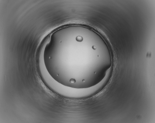 X0000110700981200907101217