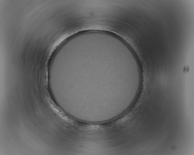 X0000110700982200907101217