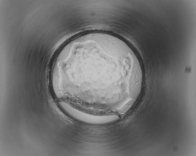 X0000110700983200907101217
