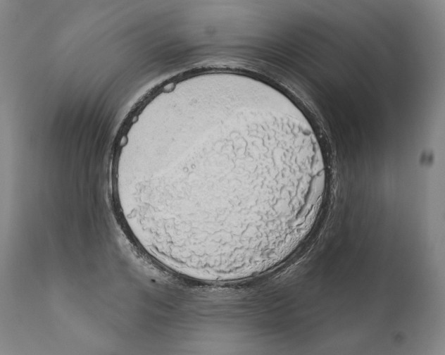 X0000110700984200907101217