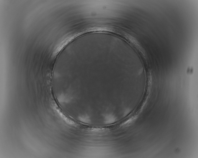 X0000110700985200907101217