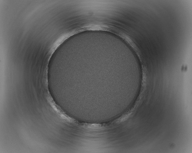 X0000110700986200907101217