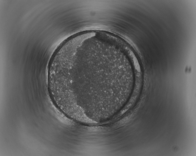 X0000110700988200907101217