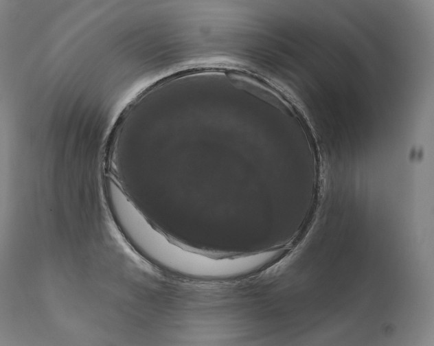 X0000110700989200907101217