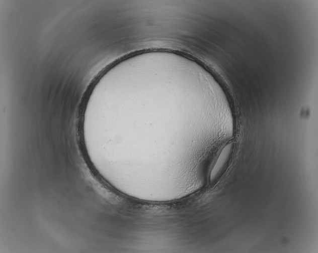 X0000110700991200907101217