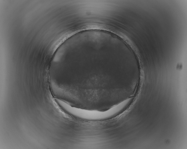 X0000110700993200907101217