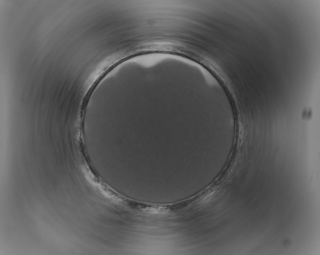 X0000110700994200907101217
